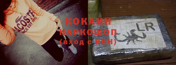 гашик Белокуриха