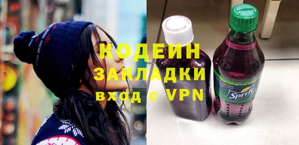 крисы Богородицк