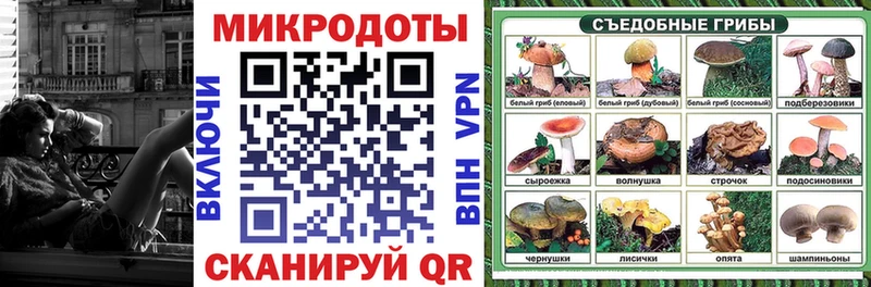 магазин продажи наркотиков Гусев Галлюциногенные грибы ЛСД