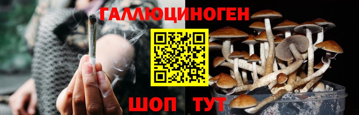 Псилоцибиновые грибы ЛСД  Вход с VPN  Гусев 